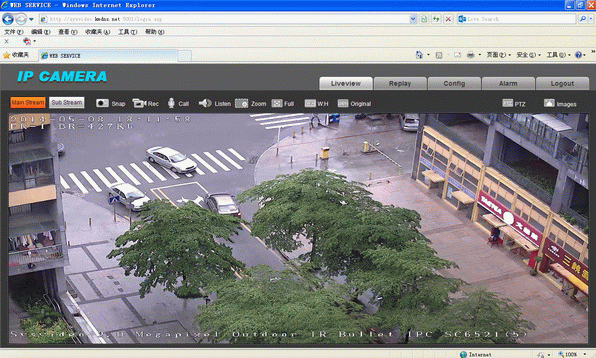 ip camera website