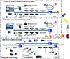 Digital coal mine video supervision system solutions