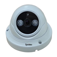 1.0 Megapixels IR Dome POE